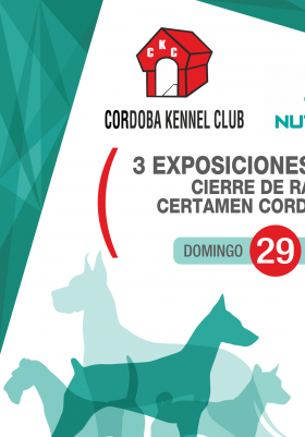 3 EXPOSICIONES ABIERTAS  CIERRE DE RANKING  CORDOB...